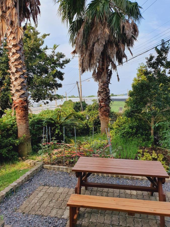 Jeju Bada Wi Olle Pension Seogwipo Exterior foto